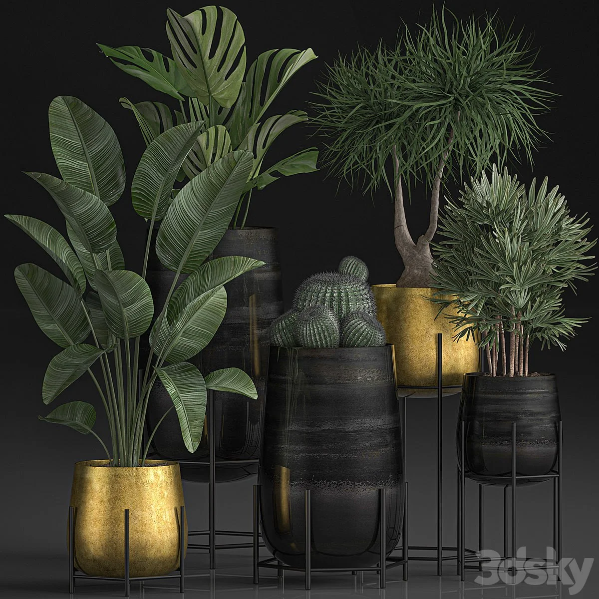 Plant Collection 546. Golden Pot, Flowerpot, Banana, Rapeseed, Dracaena, Cactus, Barrel cactus, Luxury Decor